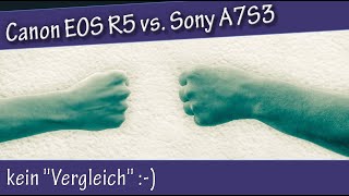 Canon EOS R5 vs Sony A7S3  kein quotVergleichquot [upl. by Ketchan435]