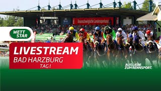 Livestream Bad Harzburg 2007 [upl. by Animehliw]