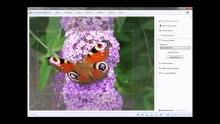 Bildausschnitt ausschneiden mit Windows Live Fotogalerie [upl. by Enilada]