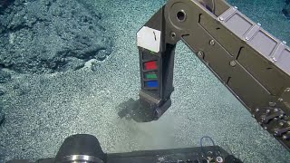 Seeking Clues on Seamounts Viewing Volcanic Formations  Nautilus Live [upl. by Cullin787]