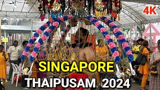 Thaipusam 2024  Thaipusam Singapore  Singapore Thaipusam 2024 [upl. by Dusen]