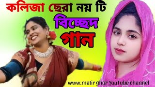 নয় টি কলিজা ছেরা বিচ্ছেদ গানের সমাহার। 9 sad video Village song 2024 [upl. by Ivey]