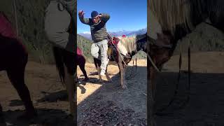 Funniest horse rider 😆 rameshkarki horseriding youtubeshorts youtubefeed [upl. by Groscr]