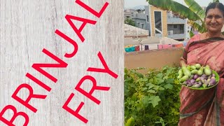 HEALTHY amp TASTY CURRY  HOW TO MAKE BRINJAL FRY [upl. by Neelahs]