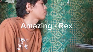 Amazing  Rex Orange County cover [upl. by Ailiec]