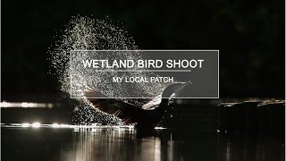 Nature Photography  Wetland Bird Shoot  My Local Patch [upl. by Lauryn836]