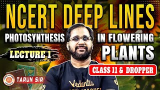 PHOTOSYNTHESIS IN HIGHER PLANTS CLASS 11  NCERT DEEP LINES  COMPLETE NCERT FOR NEET 2025 TARUN SIR [upl. by Ori]