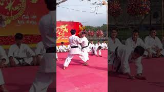 Những đòn đánh tinh hoa karate 🥋 defence vothuat martialarts karate kungfu loitrankarate [upl. by Shepperd821]