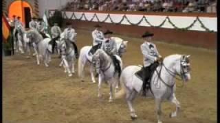 Royal Andalucian School of Equestrian Art [upl. by Yelak]