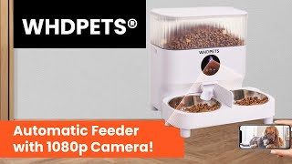 WHDPets WiFi Pet Feeder with 1080P Camera for 2 Cats amp Dogs [upl. by Lamprey]