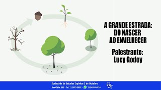 A Grande Estrada  Do Nascer ao Envelhecer  Lucy Godoy [upl. by Yarased]