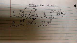 NaBH4 and LAH Reduction MECHANISM [upl. by Ecnerret]