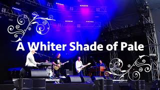 Procol Harum  Summerdays Festival Arbon 2019  A Whiter Shade of Pale [upl. by Mychal]