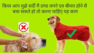 HOW TO CARE DOG IN WINTER सर्दी मै कुते की देखभाल कैसे करे [upl. by Ylrahc]