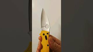 Manix 2 Salt MagnaCut SLICE TEST spyderco [upl. by Hebe]