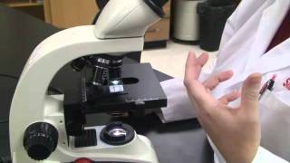 Introduction to the Light Microscope [upl. by Larena]