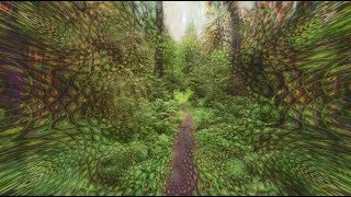 Synesthetic forest walk Psychedelic replication [upl. by Pearson]