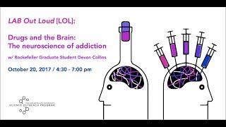 LOL Drugs and the Brain The neuroscience of addiction [upl. by Mollee]