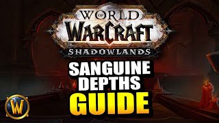 Chill Guide to the Sanguine Depths Mythic 0  World of Warcraft Shadowlands [upl. by Reve]