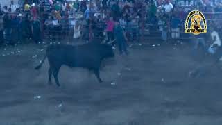 LEVANTINES EN LAS PATRONALES DE SABANA GRANDE 2018 TORO EL DIABLO [upl. by Yenrab715]