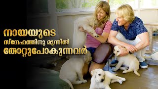 Marley amp Me Movie Malayalam Explained  Marley amp Me Movie explained in Malayalam malayalam movies [upl. by Lillie]