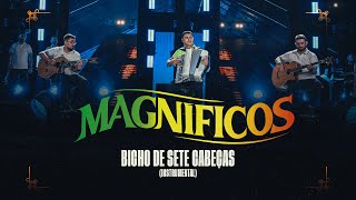 BICHO DE 7 CABEÇAS  Instrumental  Banda Magníficos DVD A Preferida do Brasil [upl. by Aihtnamas]