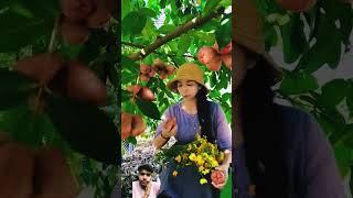 Teste fruits chine fruit naturalife farm satisfying nature garden cooking love music reels [upl. by Hereld]