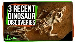 Ornithischians dinosaurs with a birds pelvis dinosaurs earth predator documentary [upl. by Parish]