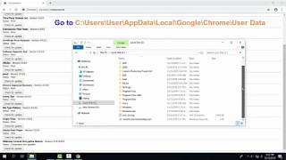 How To Fix Widevine Content Decryption Module Not Updating Issue In Windows 10 [upl. by Ecirp690]