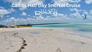 Turks and Caicos Half Day Snorkel Cruise From Beaches Resort [upl. by Zindman]