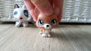 LPS  Shopping 45 Moje nowe Littlest Pet Shop [upl. by Nivrehs546]