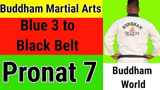 Pronat 7  Blue 2 To Blue 3 Belt Promotion  Buddham Martial Arts [upl. by Dubois]