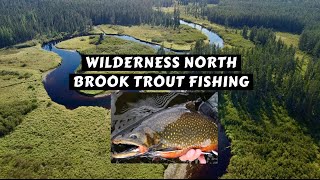 Wilderness Brook Trout by Canoe [upl. by Maidy]