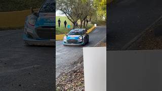 WRC Central European Rally 2023  Ott Tänak [upl. by Tare]