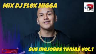 Mix Nigga 2022 dj flex [upl. by Nojad19]