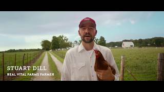 Bullsht Free Eggs  The Difference Between Pasture Raised And Cage Free Eggs [upl. by Bevis]