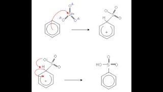 ميكانيكية تفاعل سلفنة البنزين العطرى Mechanism of Sulfonation of Benzene [upl. by Horatius]