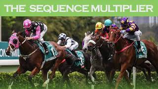 Sequence Multiplier Horse Racing Bet REVIEW [upl. by Anisah746]