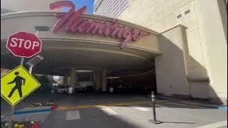 Walkthrough Flamingo Casino  Las Vegas 2024 [upl. by Conlee251]