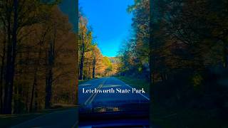 Beautiful Letchworth State Park letchworth fallcolors fallfoliage travel tour [upl. by Iv]