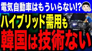 【ハイブリッドなのに 燃費悪い🤣】韓国が直面するハイブリッド技術不足！？EVに全力投球した韓国自動車業界の末路… [upl. by Neumeyer]