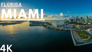 quotViva Miami A Lively Journey Through the Heart of Floridaquot [upl. by Anavrin]