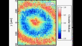 ExcitonPolariton Spin Textures [upl. by Mahau136]