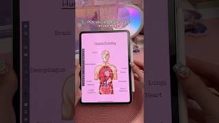 iPad note taking Infinite ZOOM 🤯 take notes with me  digital notes  InfinitePro app  study notes [upl. by Shauna508]