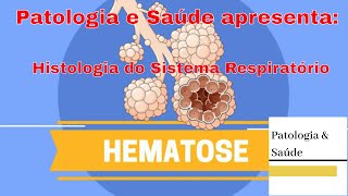 Histologia do Sistema Respiratório Hematose [upl. by Yasmar434]