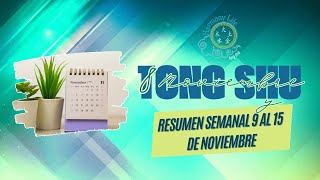 Consejos del Tong Shu 8 de noviembre y Resumen Semanal [upl. by Beck]