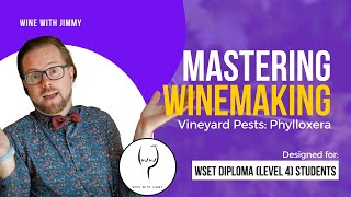 WSET Level 4 WSET Diploma Mastering Pests Phylloxera [upl. by Ahsekar]