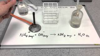 Testing for the ammonium ion [upl. by Wandy]