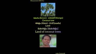 കേരളപ്പിറവി special kerala keralappiravi malayalam മലയാളം [upl. by Krm441]