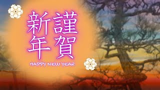 動く年賀状動画2025年 謹賀新年 年賀状グリーティング動画 ＃2025動く年賀状 [upl. by Bobinette]